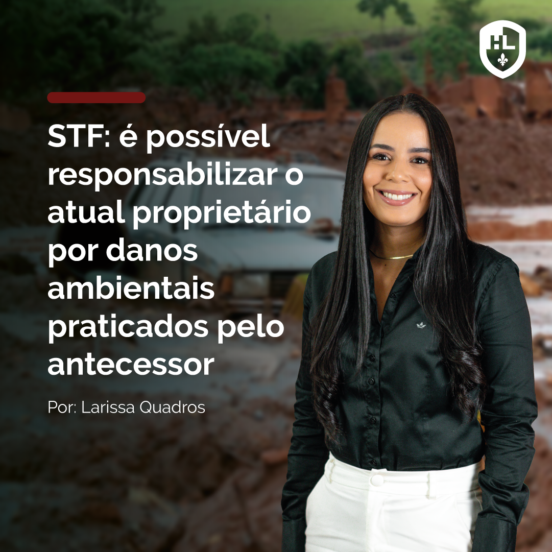 STJ: É POSSÍVEL RESPONSABILIZAR O ATUAL PROPRIETÁRIO POR DANOS AMBIENTAIS PRATICADOS PELO ANTECESSOR